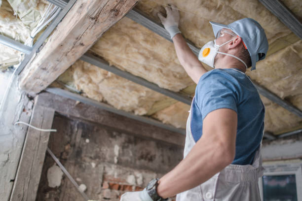 Best Cellulose Insulation in Frazee, MN