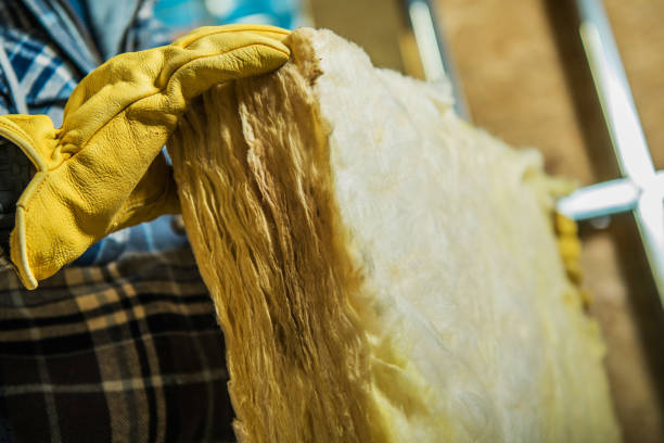 Trusted Frazee, MN Insulation Contractor Experts
