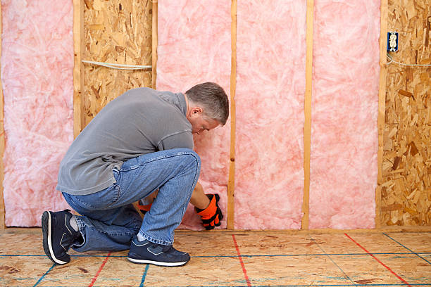 Best Residential Insulation in Frazee, MN
