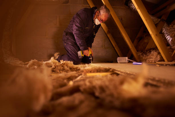 Best DIY Insulation Kits and Guidance in Frazee, MN